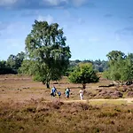 Cedar Veluwe بيت للعطل إرميلو