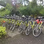Vakantiehuis Cedar Veluwe Ermelo