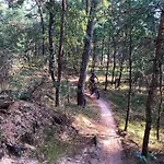 Cedar Veluwe بيت للعطل إرميلو