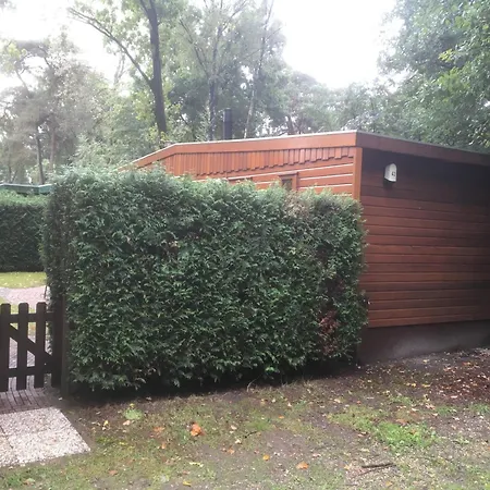 Cedar Veluwe Holiday home *