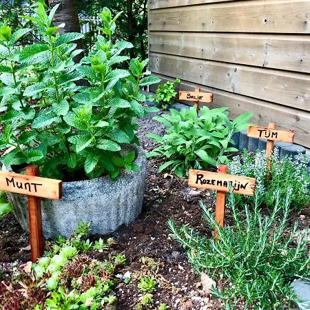 Ferienhaus Cedar Veluwe *