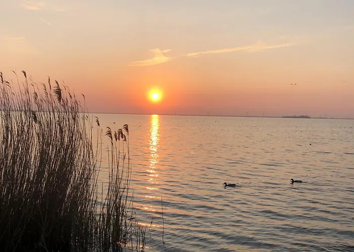 Cedar Veluwe * Ermelo