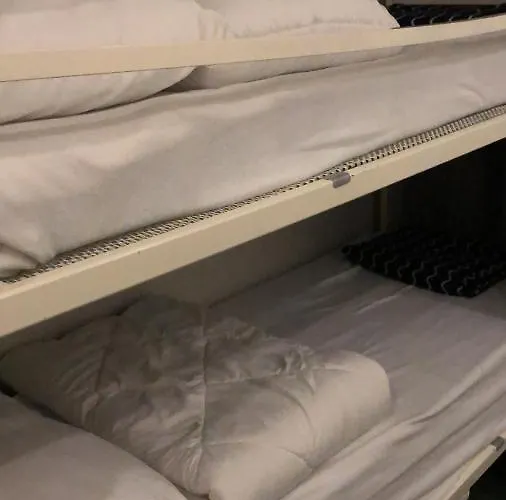 Cedar Veluwe * إرميلو