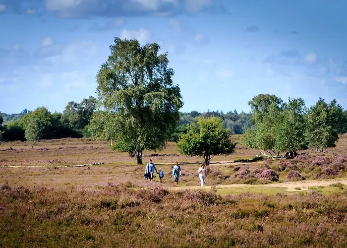 Cedar Veluwe Сasa de vacaciones Ermelo