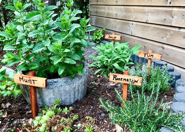 Сasa de vacaciones Cedar Veluwe *