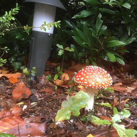 Cedar Veluwe Vakantiehuis *