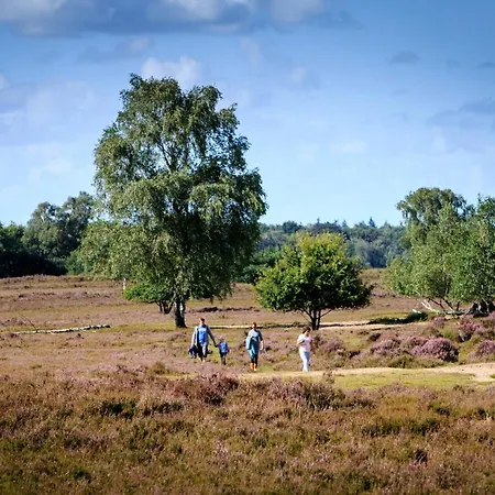 Cedar Veluwe Vakantiehuis Ermelo