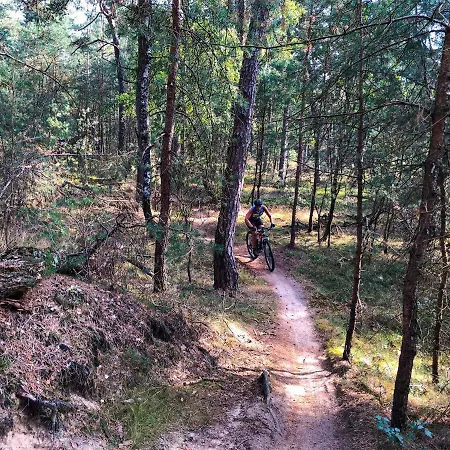 Cedar Veluwe Casa vacanze Ermelo