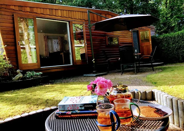 Vakantiehuis Cedar Veluwe Ermelo