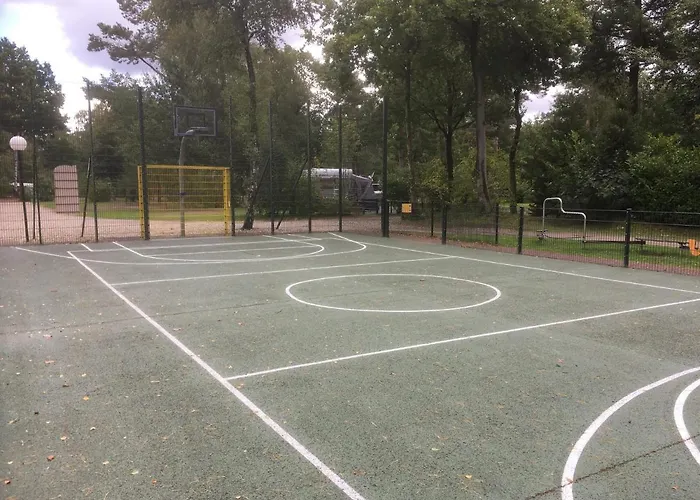 Cedar Veluwe * Ermelo