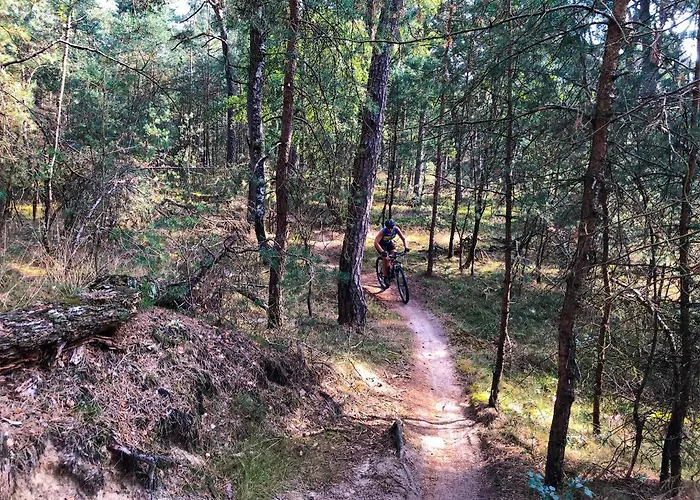 Cedar Veluwe Vakantiehuis Ermelo