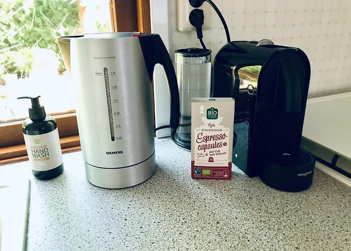 Vakantiehuis Cedar Veluwe Ermelo